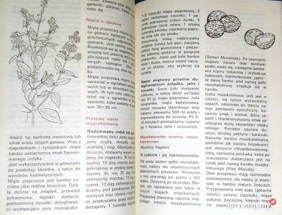 Rośliny przyprawowe i przyprawy w węgierskiej lubelskie Chełm sprzedam