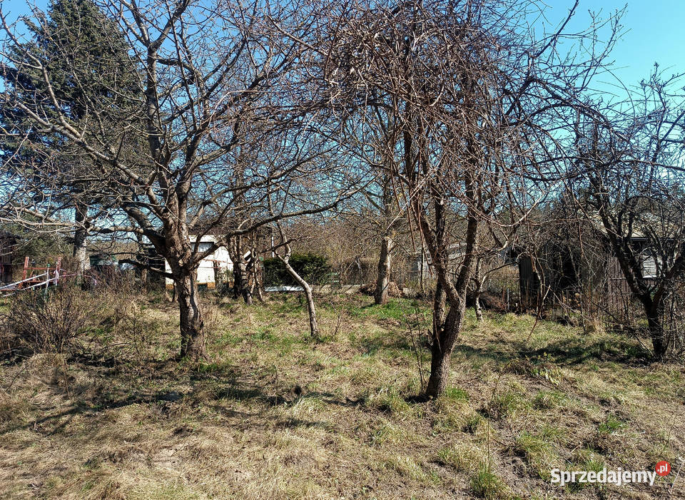 Działka ROD Przylesie obok Ikea Gdańsk