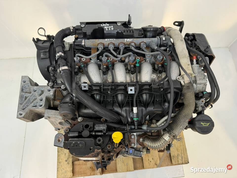 SILNIK 224DT Land Rover Freelander II L359 22 D lubelskie