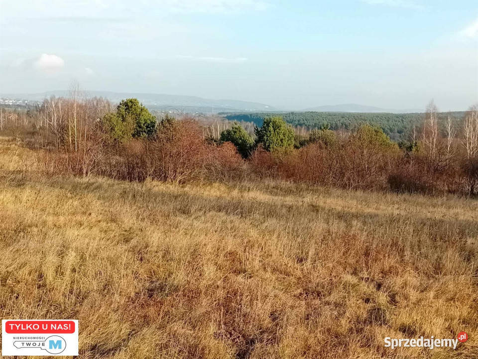 Do sprzedaży działka 17841m Daleszyce świętokrzyskie