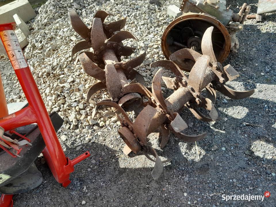 Glebogryzarka małopolskie Gnojnik