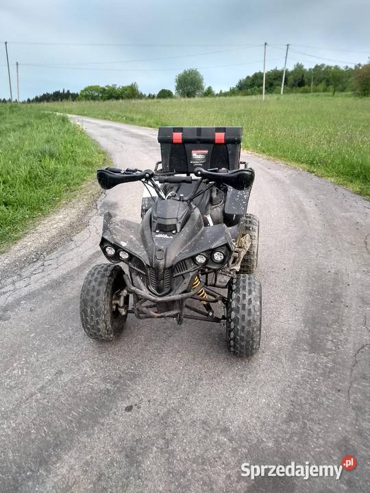 quad 125 przyczepka KXD