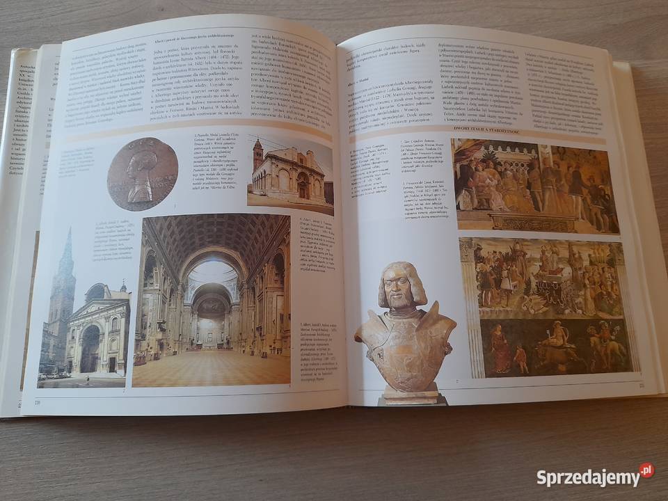 Album Sztuka w dziejach czlowieka Kultura i Rozrywka Rudnik nad Sanem sprzedam