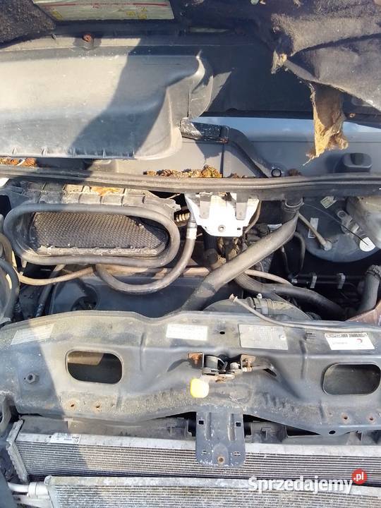 Citroen Jumper 22 HDi 2012 wielkopolskie Miedzichowo