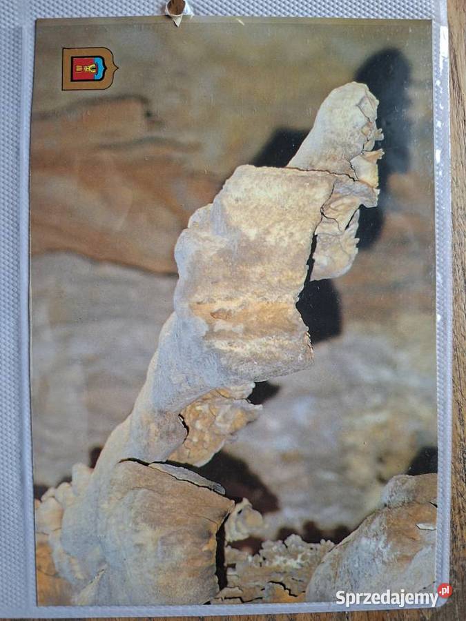 Cuevas de Canalobre Alicante Busto 8 Książki i Podręczniki Kraków