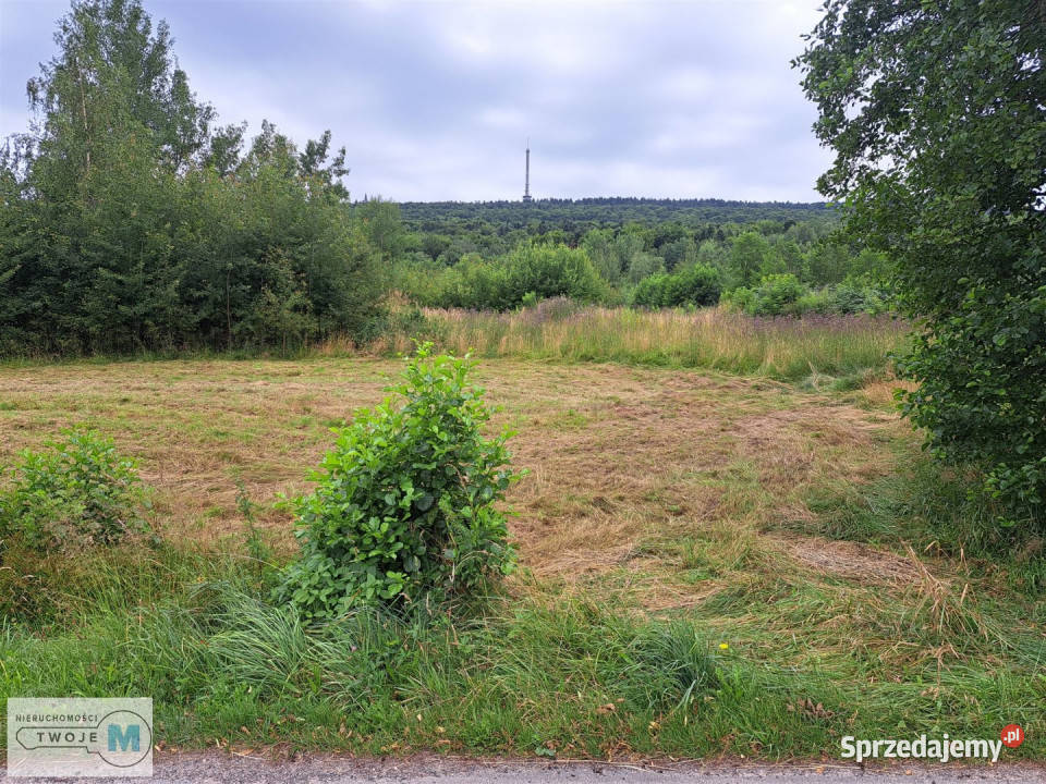 Działka Nowa Słupia 12800m2 280m Sprzedaż świętokrzyskie sprzedam
