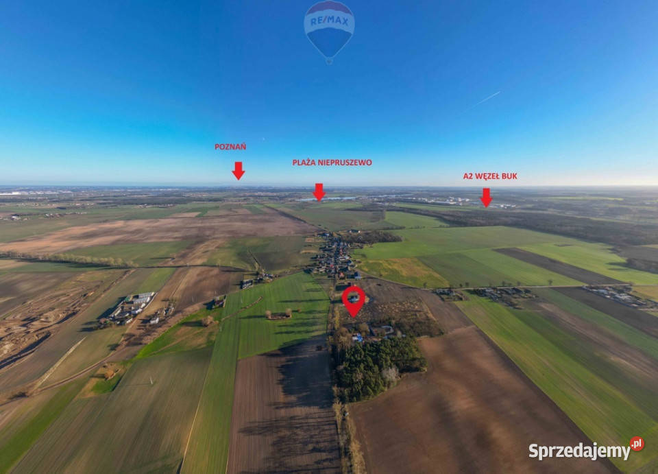 Działka budowlana 20 min Poznania A2 Buk Sprzedaż
