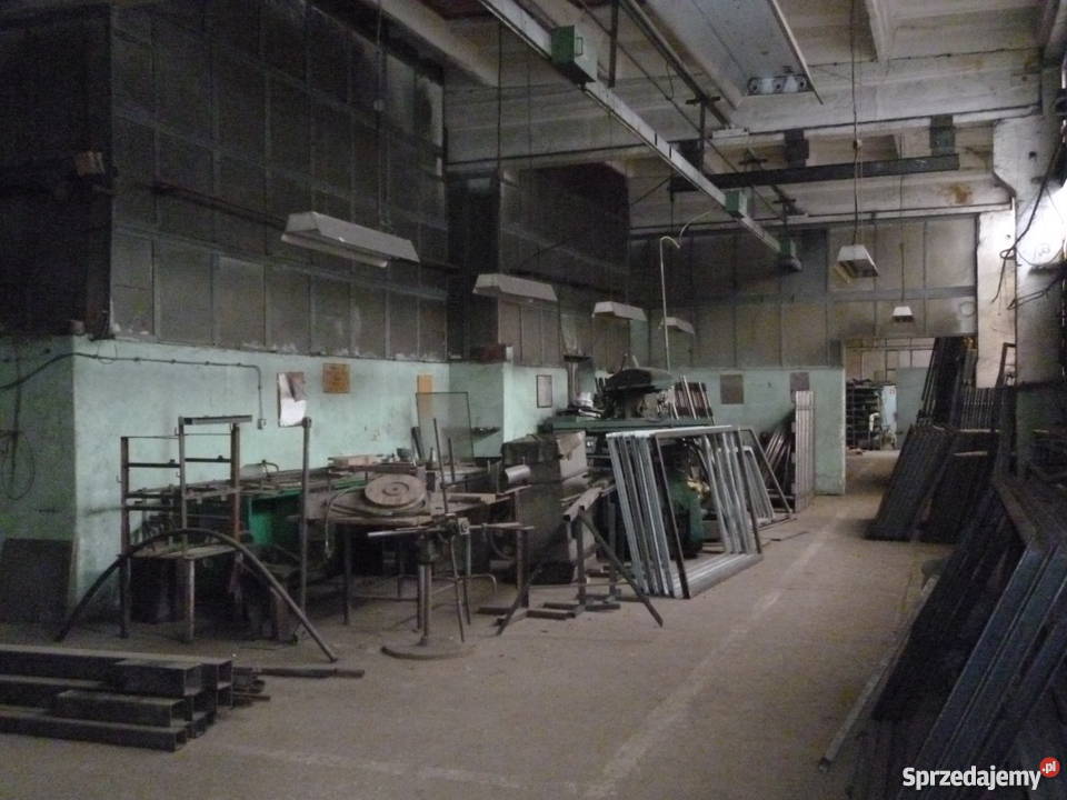 Zakład hale produkcyjnemagazynowe Lokale użytkowe Szczytna sprzedam