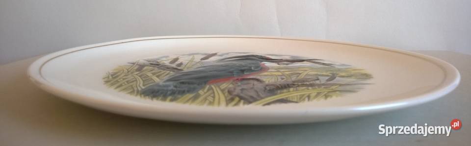 Talerz Porcelanowy Dekoracyjny Royal Worcester Radom