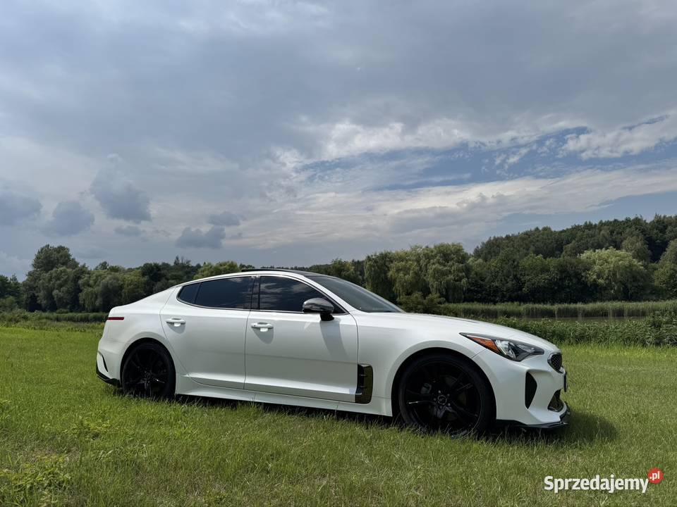 Kia Stinger 20 GTLine benzyna Pilica