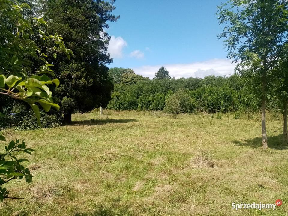 DZIAŁKA ROLNA IVa Z WIDOKIEM NA GÓRY 5000m2 dolnośląskie