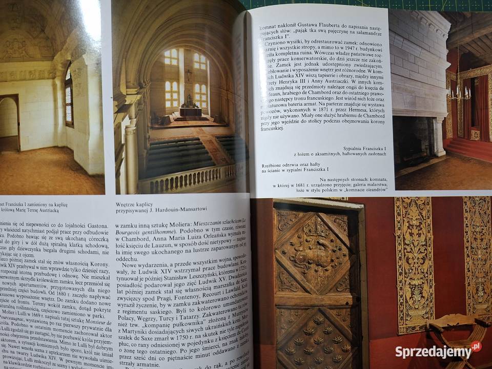 Złota księga Zamki Loarą Bonechi sztuka i architektura Kraków