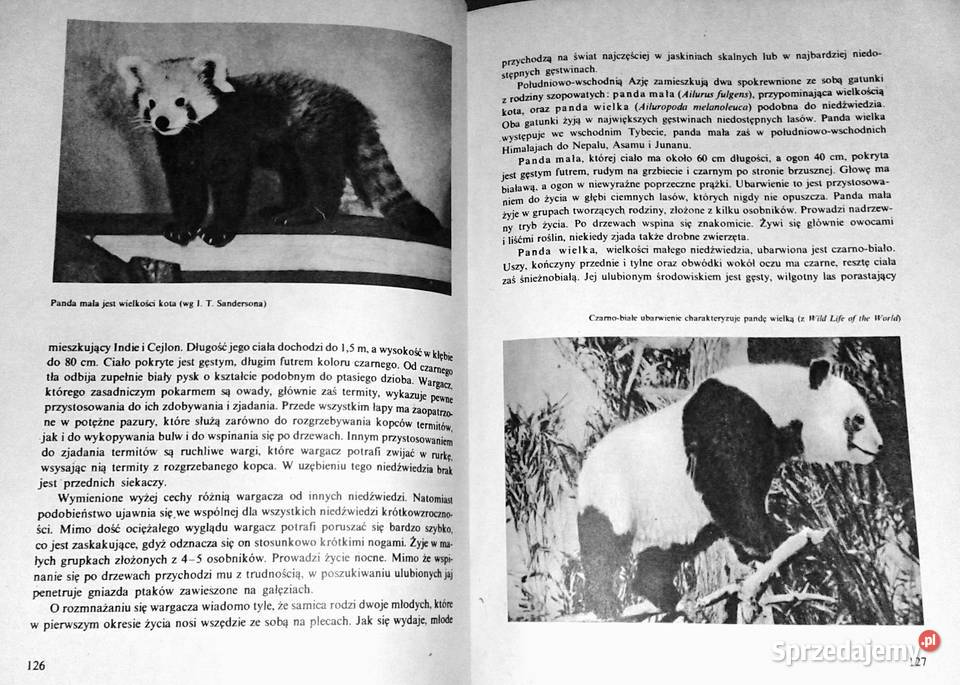 Ssaki Włodzimierz Serafiński Ewa Chełm