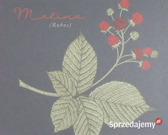 vintage plakat roślinami botaniczny obrazek A4 Szczecin sprzedam