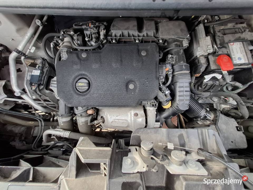 Toyota Proace ProAce łódzkie Stary Gostków