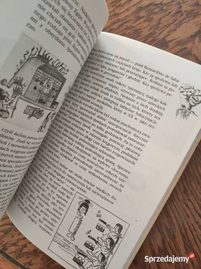 Dawna medycyna Jej tajemnice i potęga Jrgen
