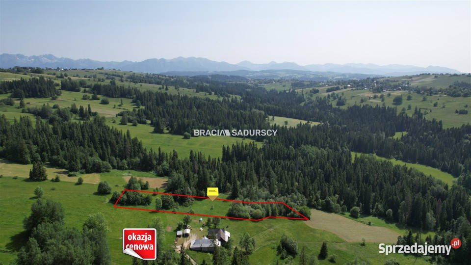 sprzedaży gruntu Bańska Wyżna 4267m2 sprzedam