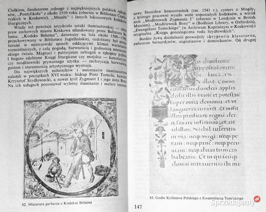 Zarys dziejów książki Barbara Bieńkowska Halina Rok wydania 1987 Chełm sprzedam
