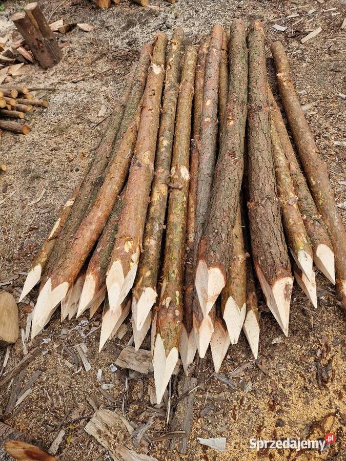 Słupki sosnowe Żerdzie Ogrodzenie z siatki lubuskie