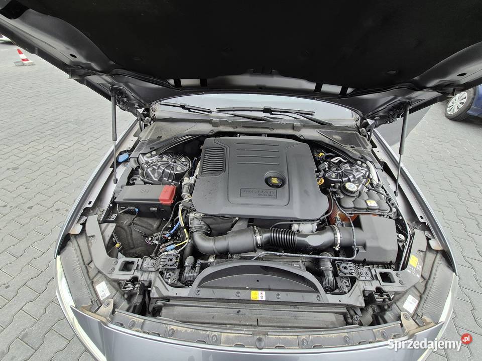 Syndyk sprzeda XF 20D I4 204 AWD Auto RDynamic Warszawa