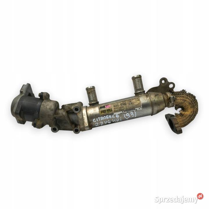 ZAWÓR EGR CHŁODNICA Peugeot Citroen Jaguar 27 Chełm