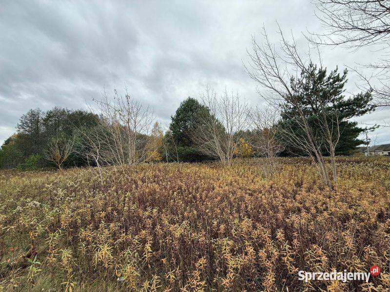 Duża działka z warunkami zabudowy w Gostynin