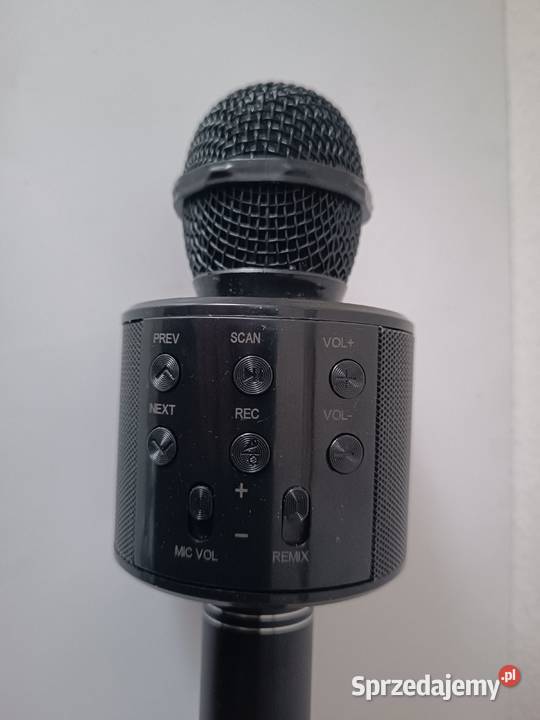 Mikrofon karaoke