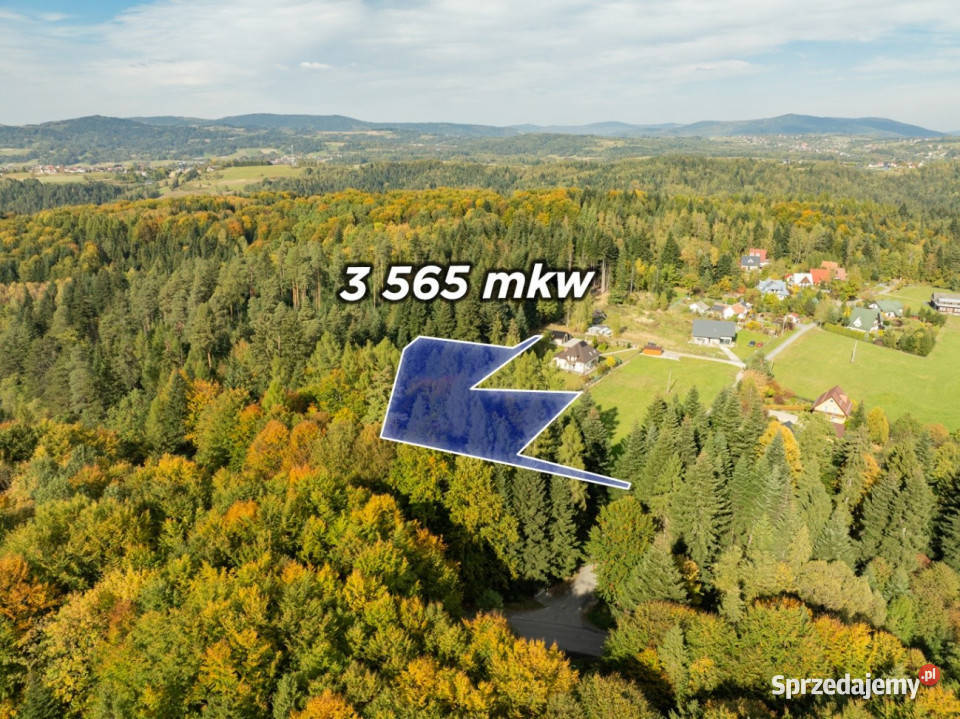 Działka Budowlana z Własnym LASEM3565 M JORDANÓW 60zł/m2 Sprzedaż Jordanów