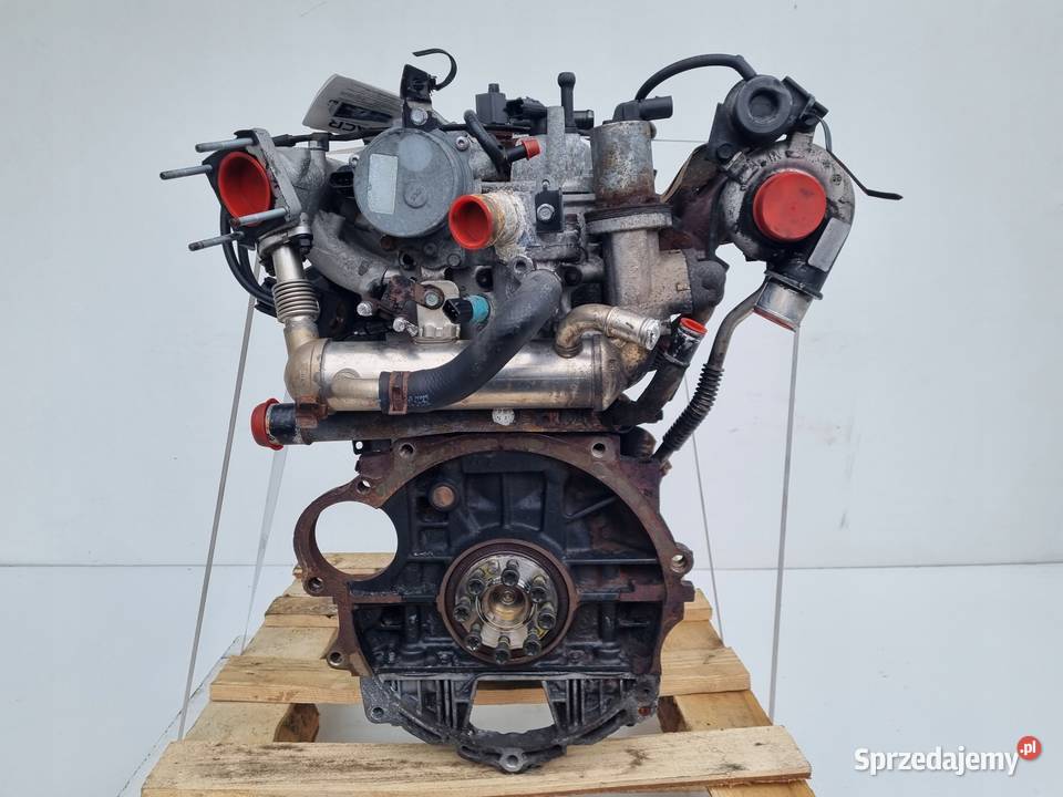 SILNIK KOMPLET Kia Rio III 14 CRDI 131 D4FC osobowe Rudka