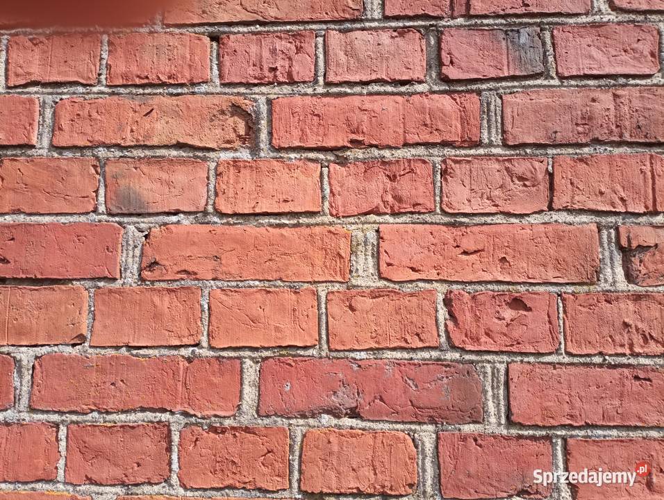 Sprzedam rozbiórkową cegłę poniemiecką Nowy Dwór Gdański sprzedam