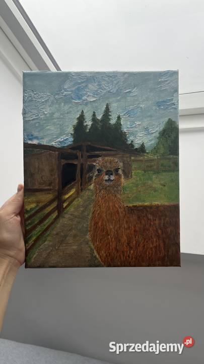 Obraz olejny 2430 Alpaka Świebodzin