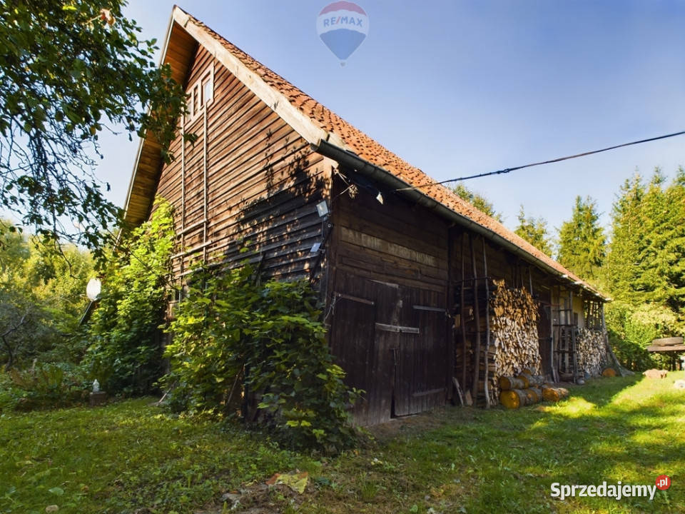 Działka z linią brzegową siedlisko z sadem i las