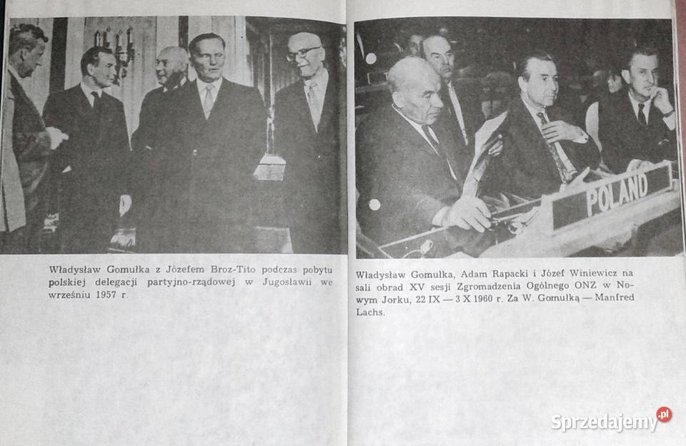 Polityczne dylematy Gomułki B Syzdek E Syzdek lubelskie Chełm