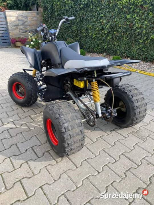 Sprzedam quada bashan 250 Bashan Krobia