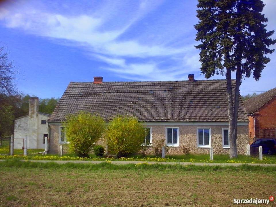 Gospodarstwo rolne w pobliżu wybrzeża Bałtyku Witolub