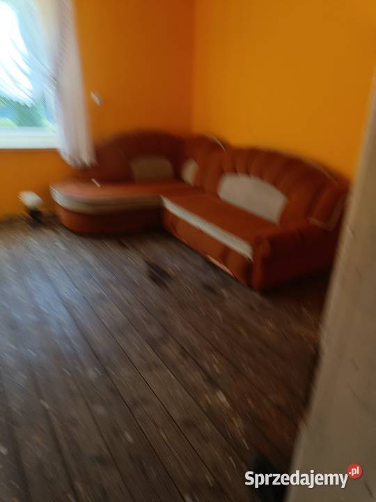 Dom na dużej działce z małym laskiem strych