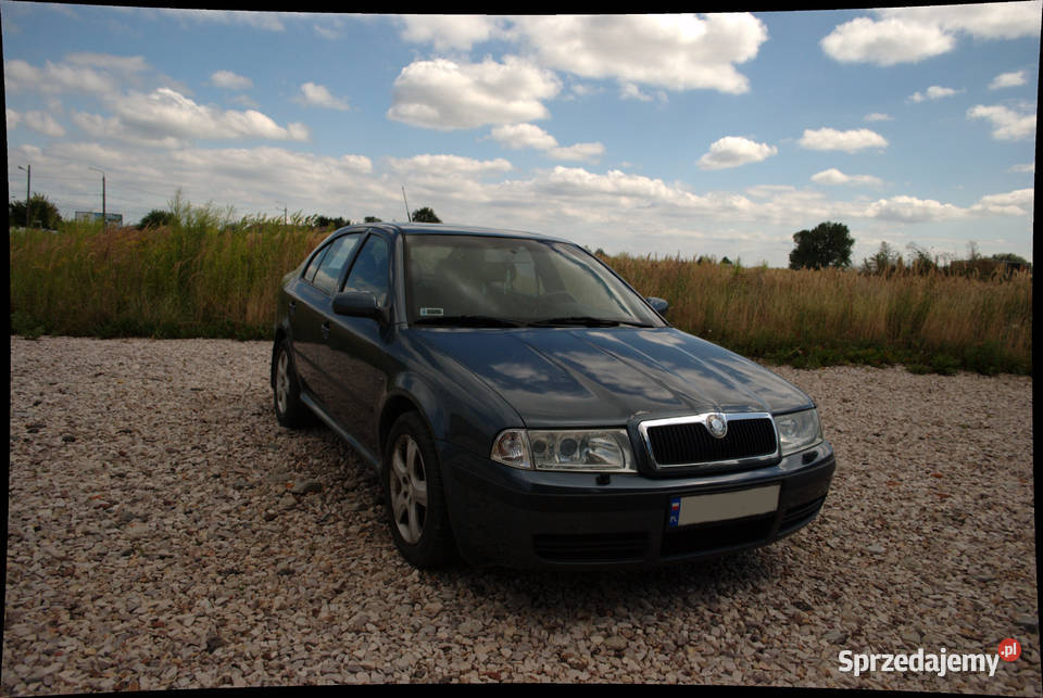 Skoda Octavia 18T 04 Salon polska bogata wersja manualna mazowieckie Ożarów Mazowiecki