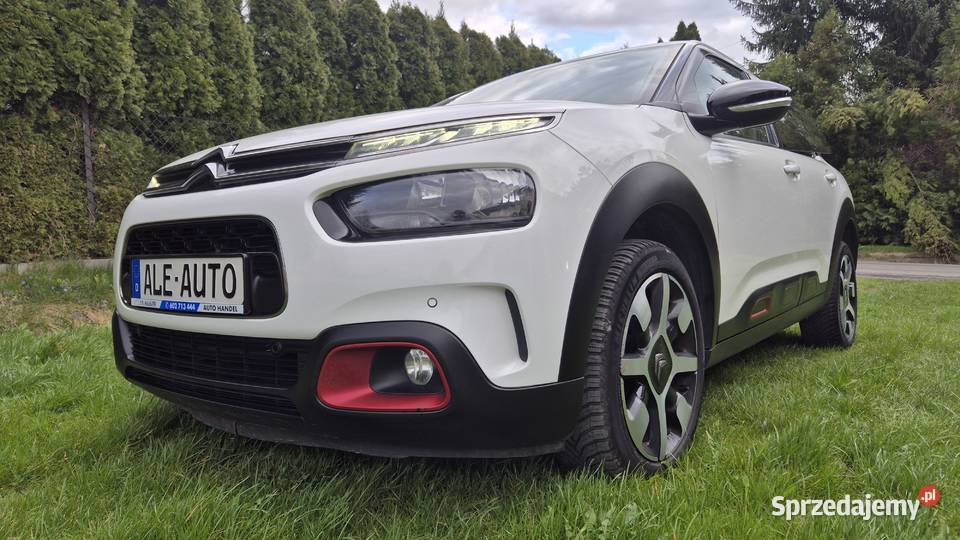 C4 CACTUS 12 110 OPŁACONY