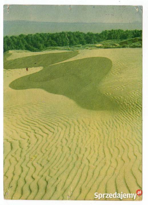ŁEBA WYDMY NADMORSKIE 1 Krynki