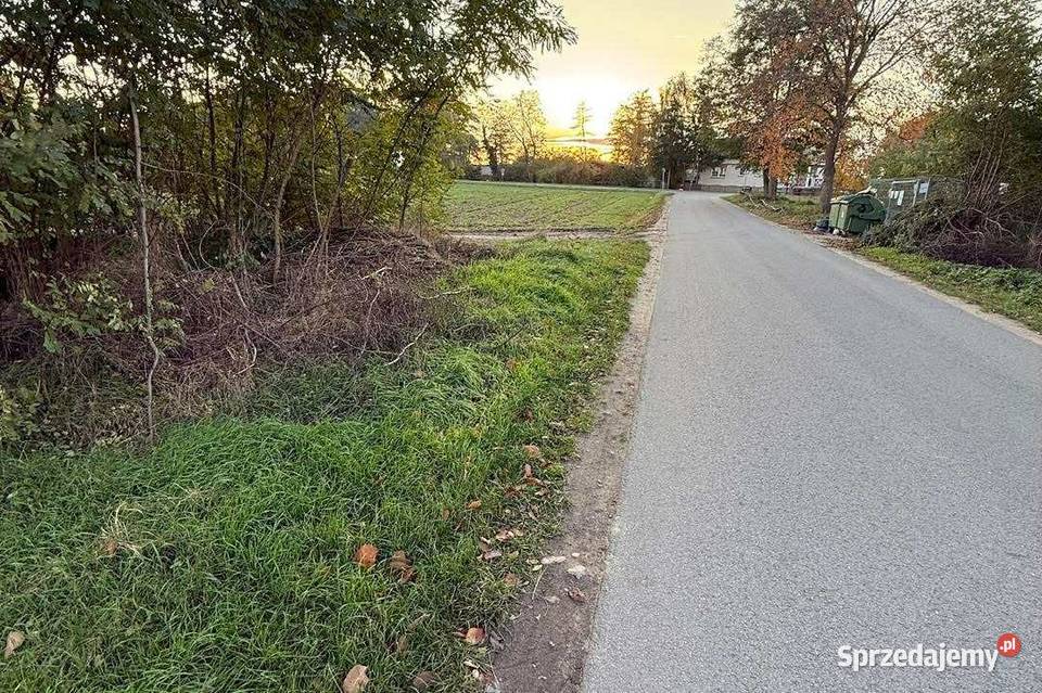 Działka rekreacyjna Kosewo 23 ary gmina Sprzedaż sprzedam