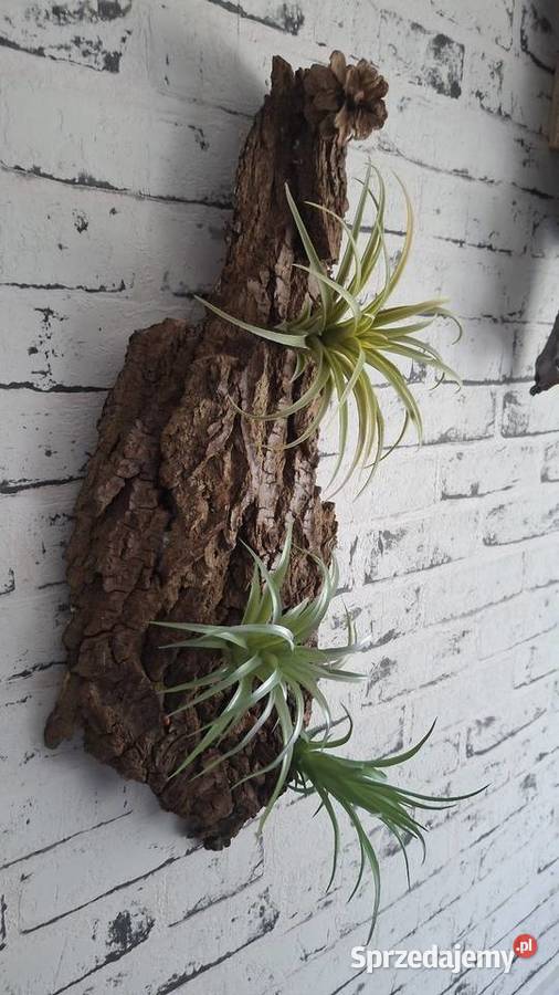 Ozdoba do akwarium terrarium łódzkie Łódź