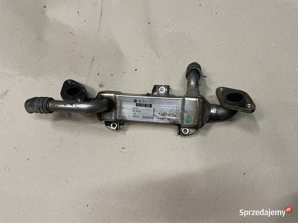 Chłodniczka egr 19tdi 038131513C seat alhambra Szczecin