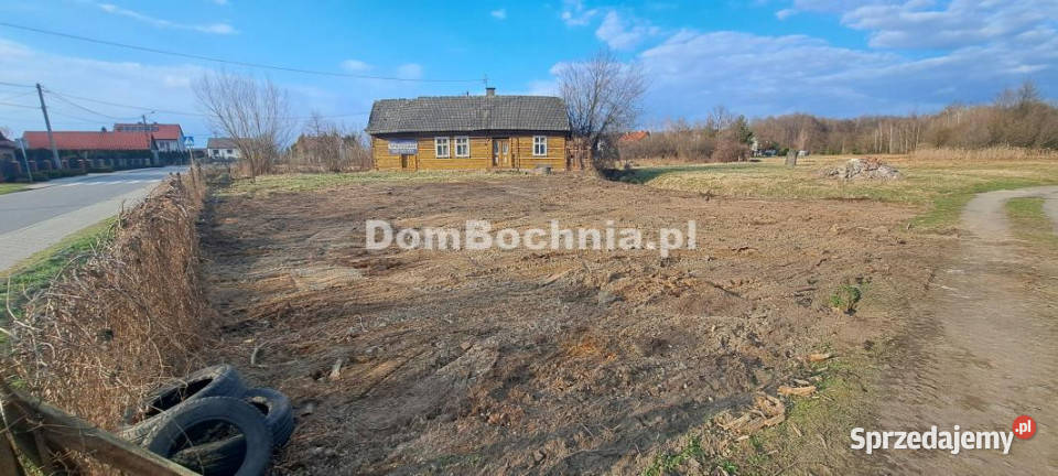 Dom wolnostojący 612 metry Borek Liczba pokoi 2