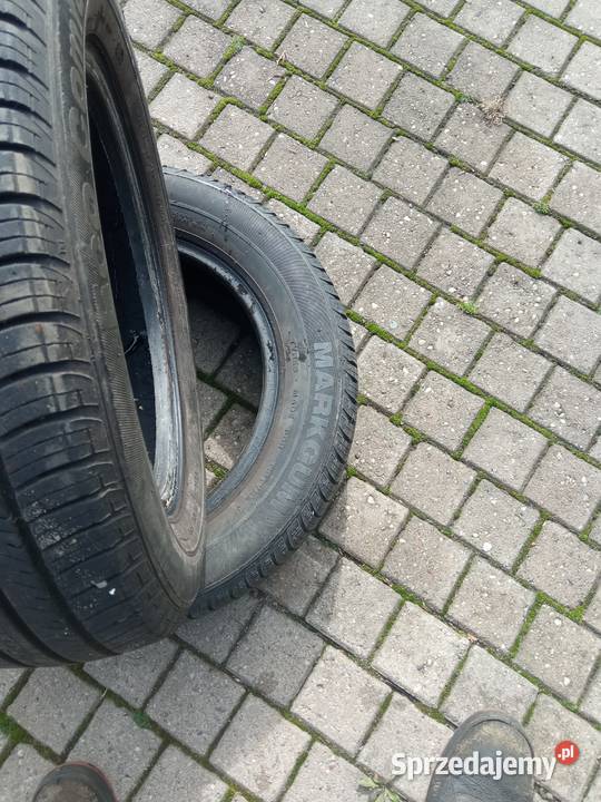 opony MARKOGUM EKO CONTACT 1657014 R 2020 Samochodowe Rybnik