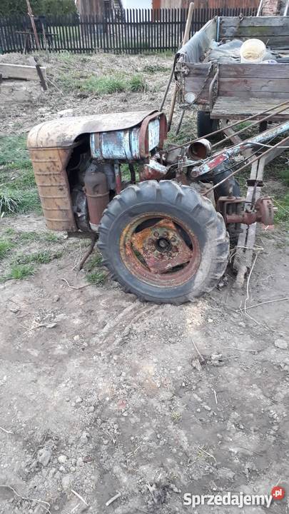 Dzik z przyczepką Ciągniki Głubczyce