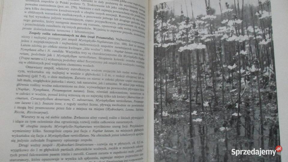 Szata roślinna Polski Szafer roślinnośćPolska Łódź