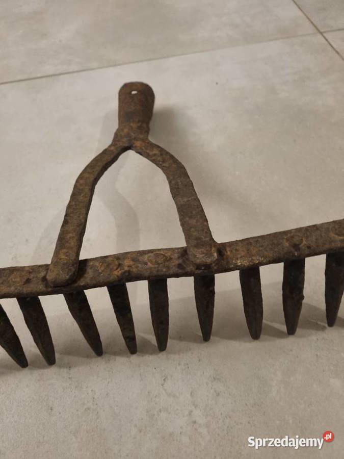 Stare grabie przedwojenne Lublin sprzedam