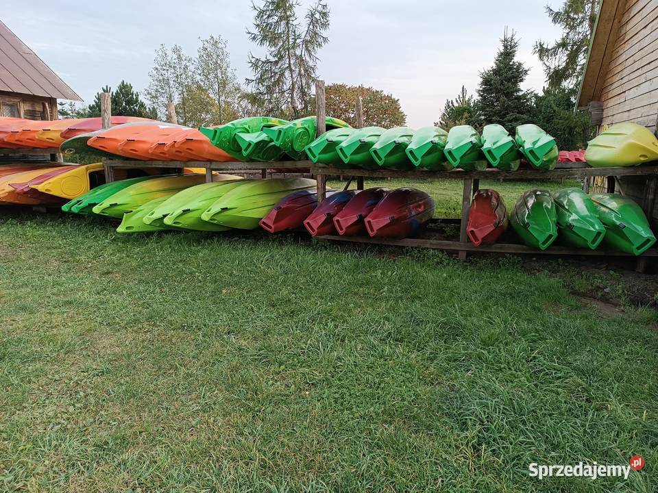 SEDINA nowość Suwałki