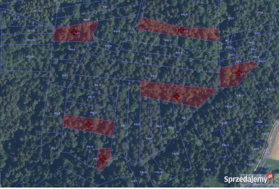 Działka 24313m2 Budzów Budzów