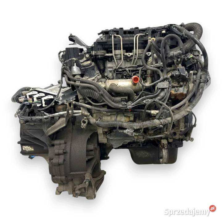 SILNIK G8DD Ford Focus II MK2 C C 16 TDCI 109 lubelskie